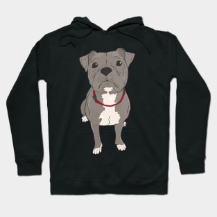 Cute Pitbull Puppy Hoodie